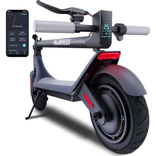 Best E Scooter Adult